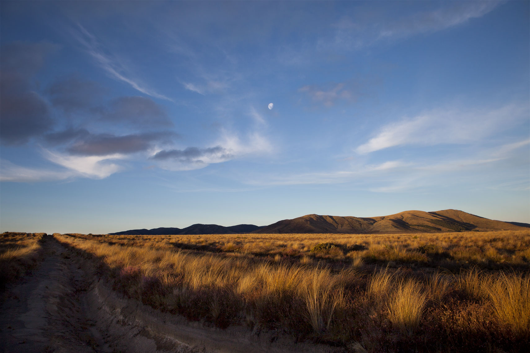 DesertRoadMoon