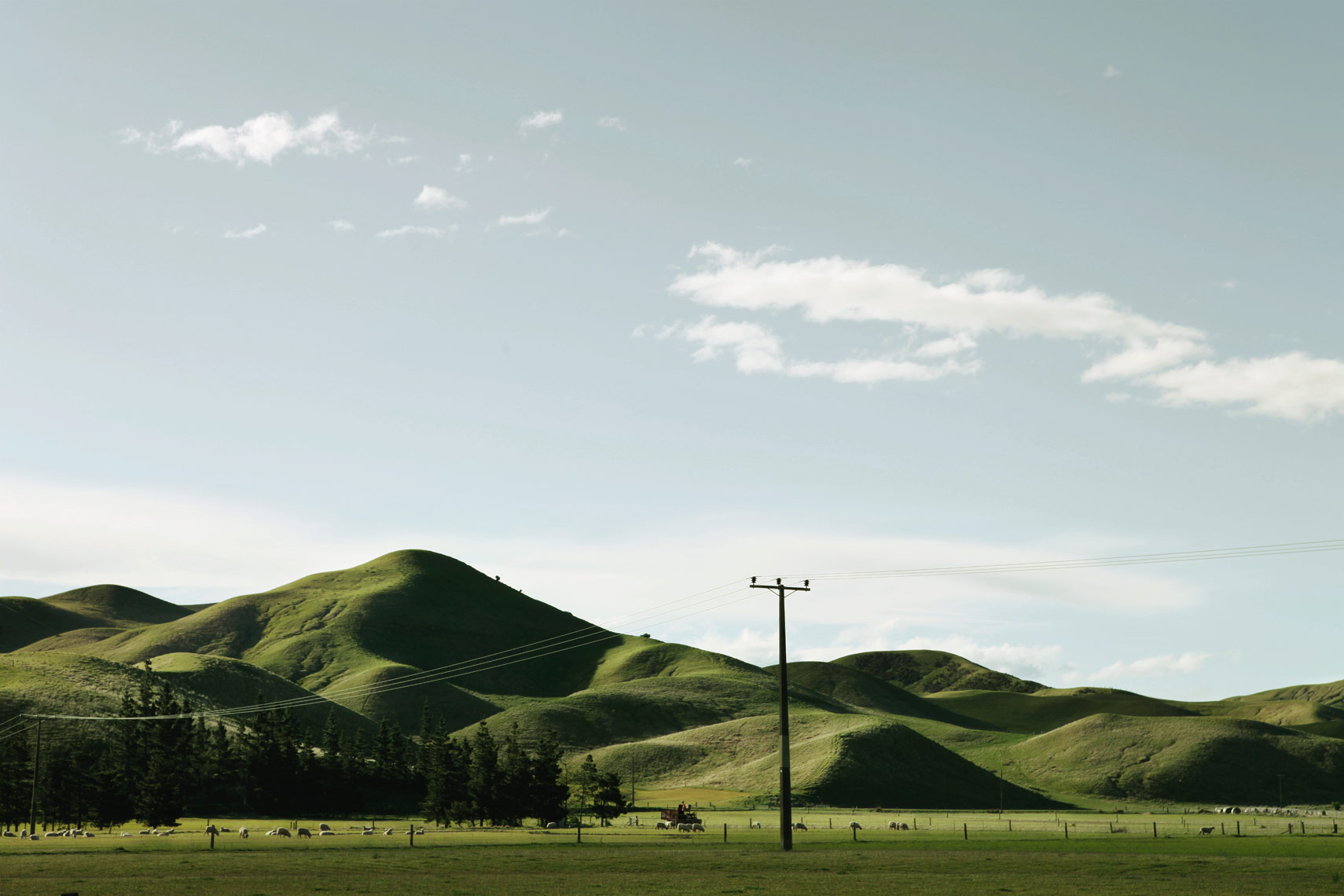 Landscape_Blenheim